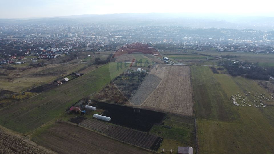 Teren 19.375 mp Dâmbu Rotund. Potențial rezidențial. Extravilan