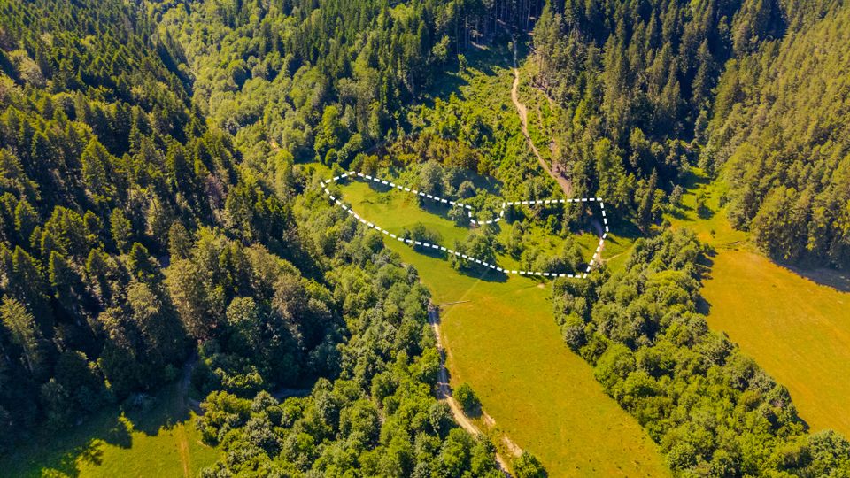 Teren 6000mp Sacele -zona Brădet/ Intravilan/ COMISION 0%