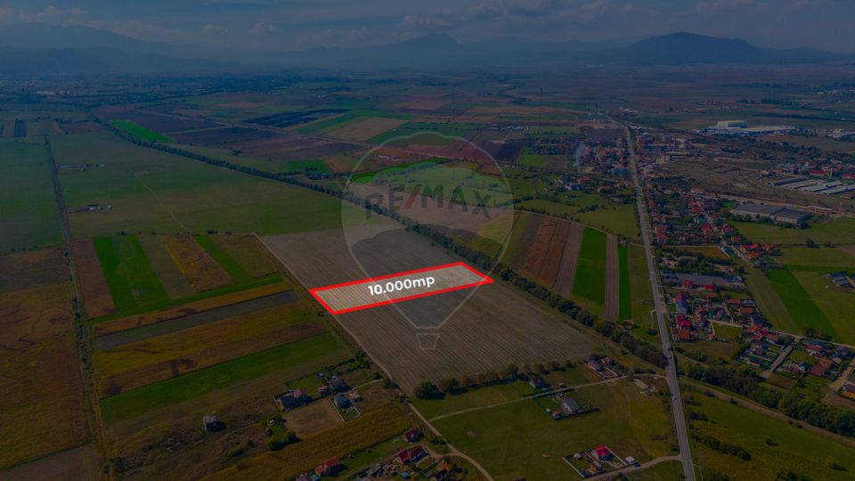 Teren 10,000mp Bod/Extravilan