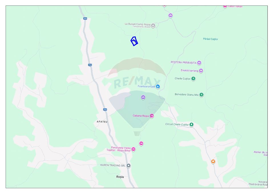 Land 10,059sqm Rosia / Strada Principala