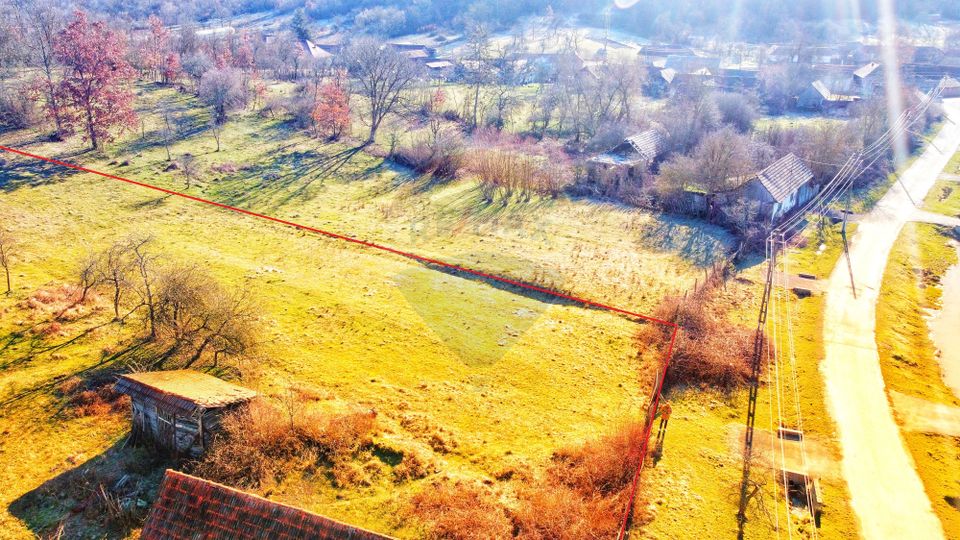 Moștenirea din Iersnic: poveste, utilități urbane și liniste banateana