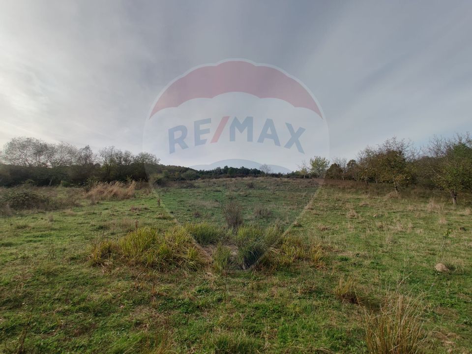 Teren de vanzare la ieșire Remetea Chioarului