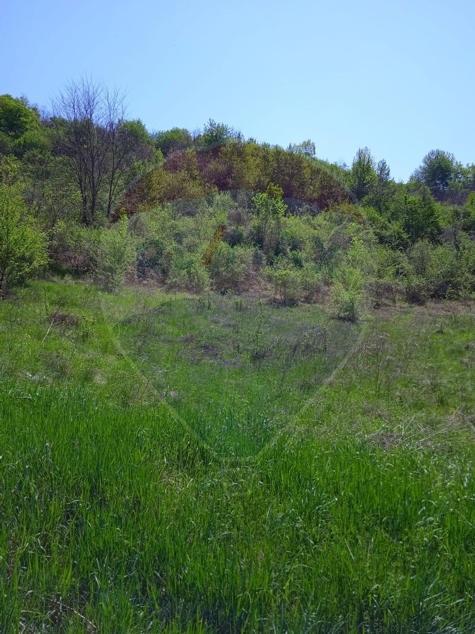 Teren intravilan de vânzare – Hula Baznei, 800 mp