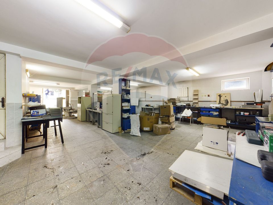 21 room House / Villa for sale, Alexandriei area