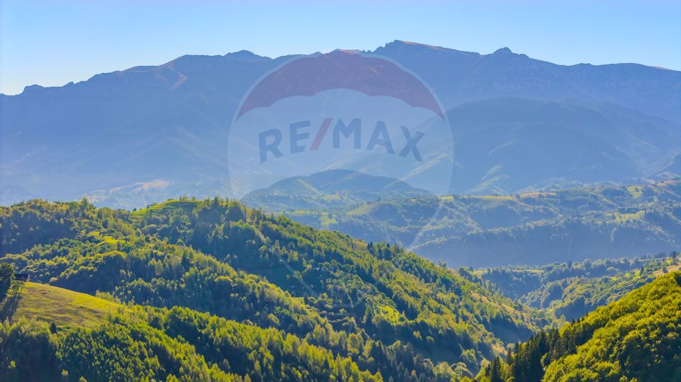 COMISION 0% Teren 10,594mp Pestera /Intravilan