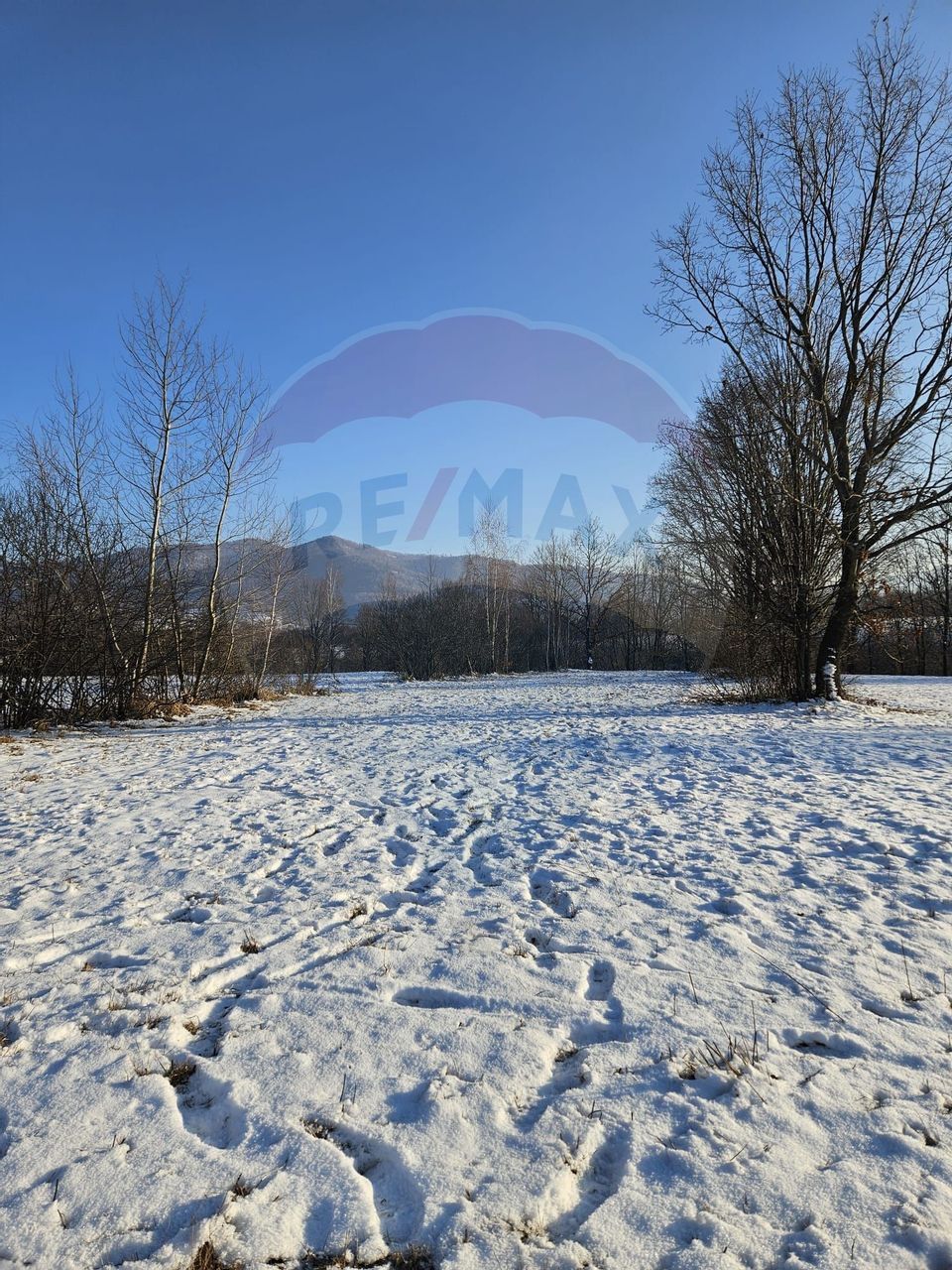 Teren 1,493mp Sinca Noua / DJ 73