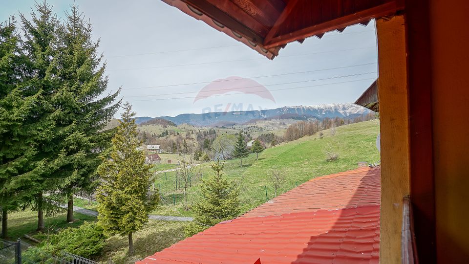 11 room House / Villa for sale