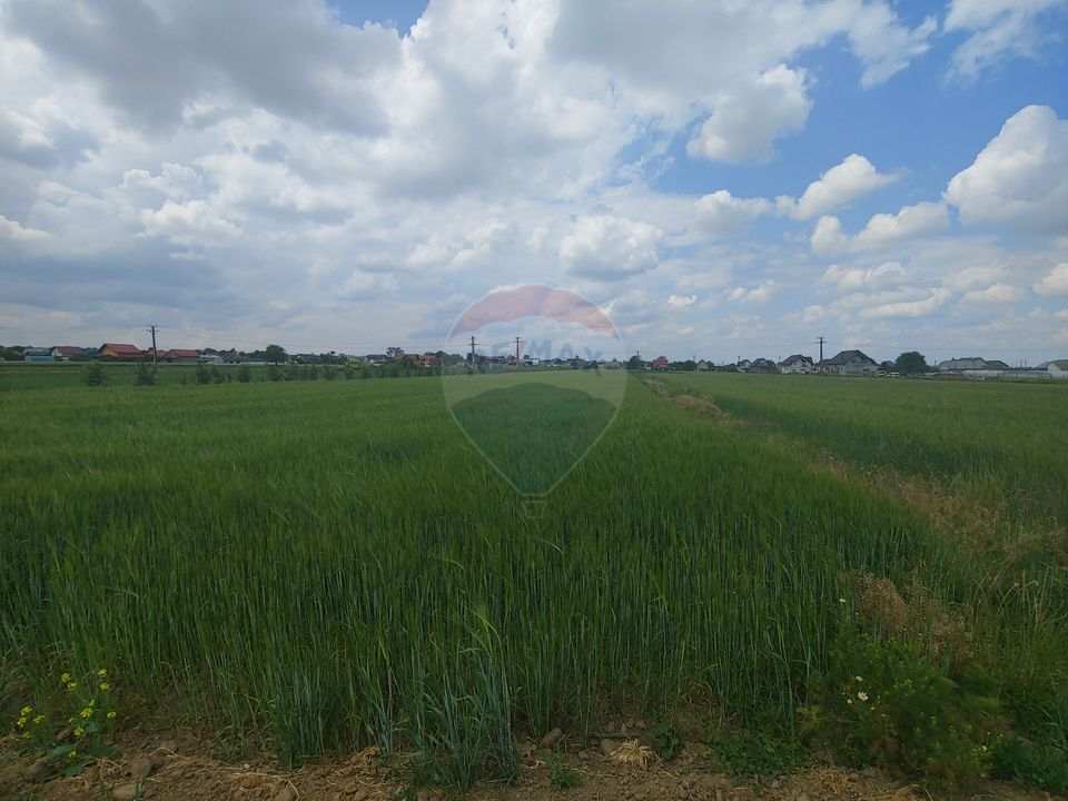 Teren intravilan 6,600mp Dumbraveni / Strada Principala spre Veresti