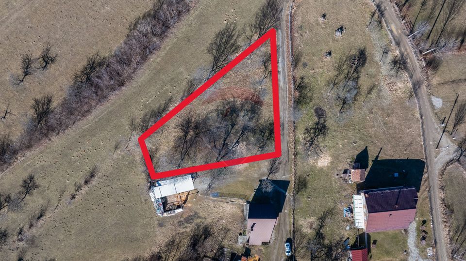 Land 1,260sqm Predelut / Strada Pe Tarina