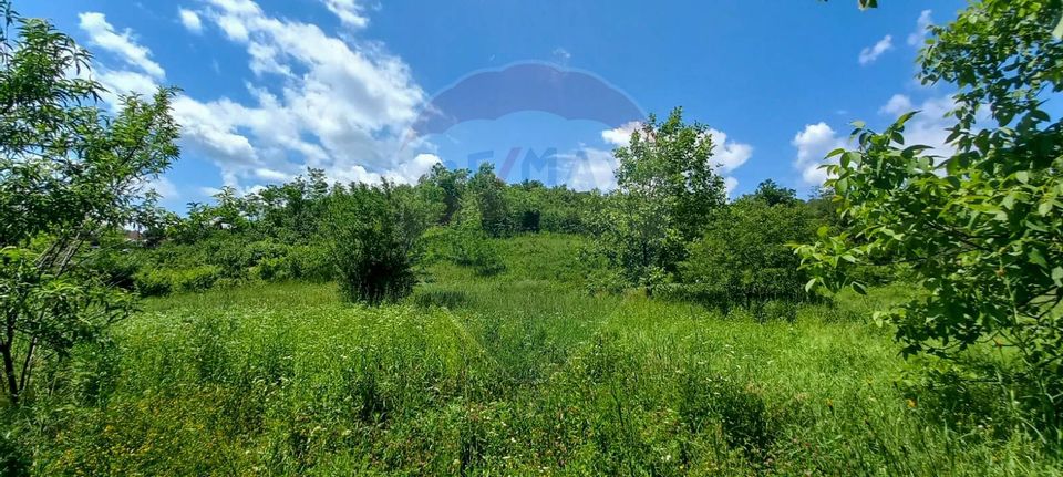 Teren Intravilan de vanzare 3551mp Poiana Copaceni Com Gura Vitioarei