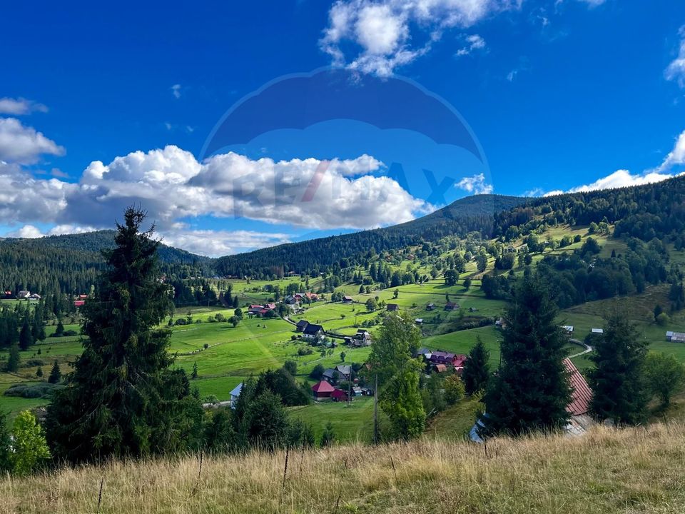 Land 6,500sqm Arieseni / Drumul Catunul Valea Galbenei