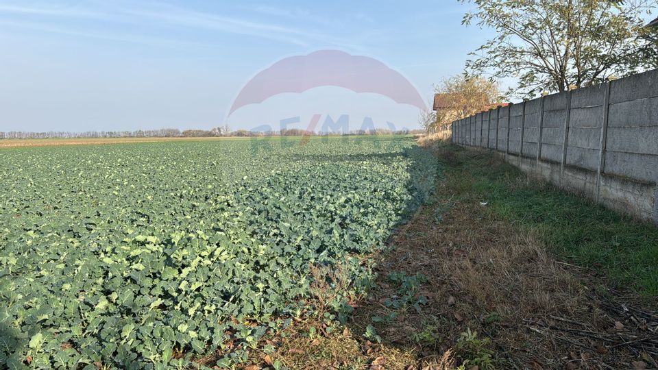 Teren intravilan de vânzare, 11.600 mp – Tărian, Girișul de Criș