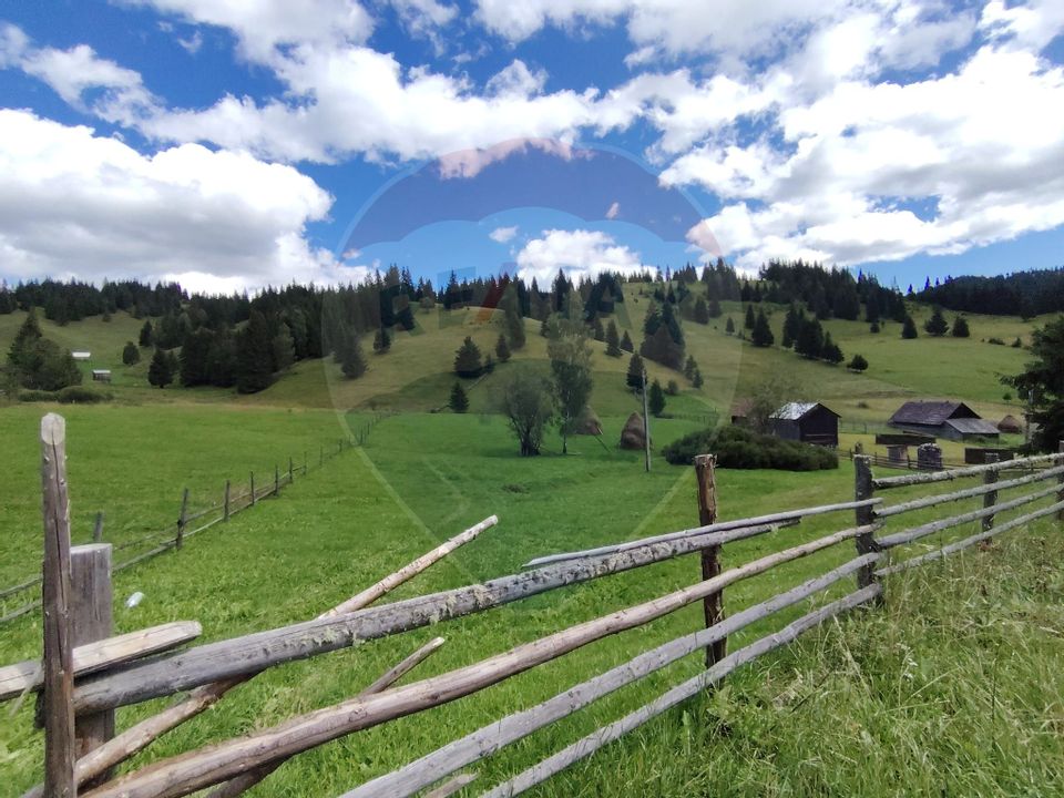 Teren de 14318m.p. în Paltinis, la 100m de strada Principala