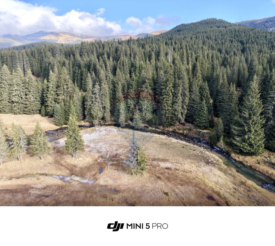 Teren de vanzare - 5000 mp - Peștera Padina