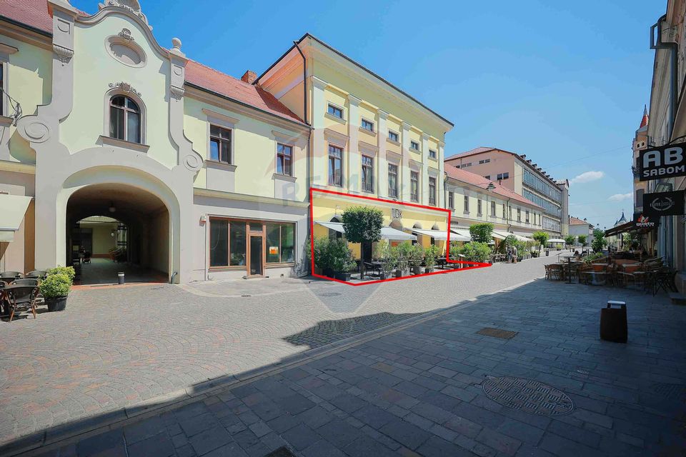 De vânzare — Spațiu comercial parter 409 mp, Vasile Alecsandri