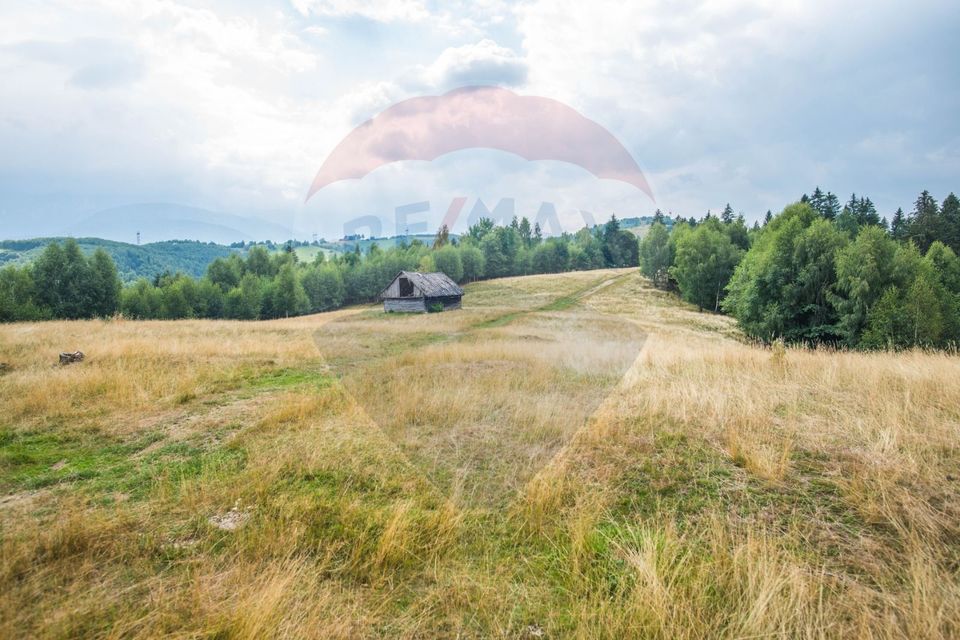 Teren extravilan Moieciu 45316mp