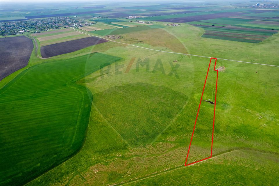 Land 50,000sqm Santana / Soseaua EXTRAVILAN