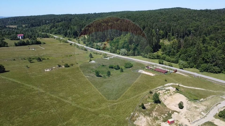 Land 5,561sqm Paltinoasa / Strada principala