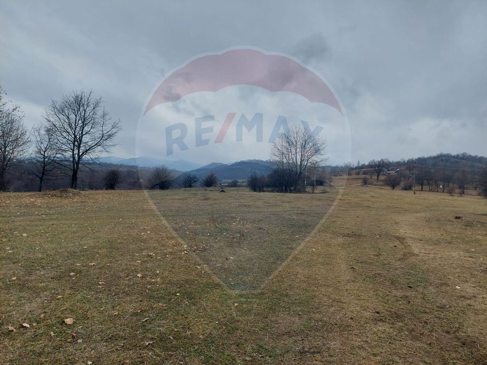 Land 11,400sqm Comanesti / Prelungirea Punct podina