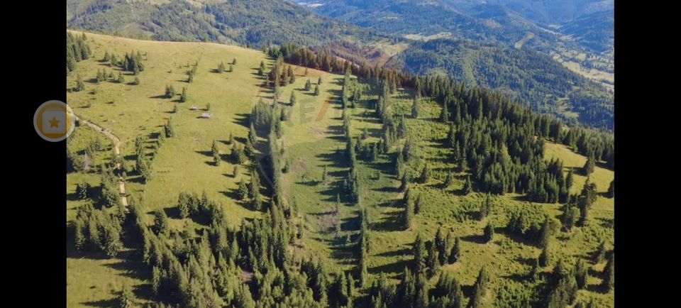 Teren 47,732mp Panaci / Strada MIhailet