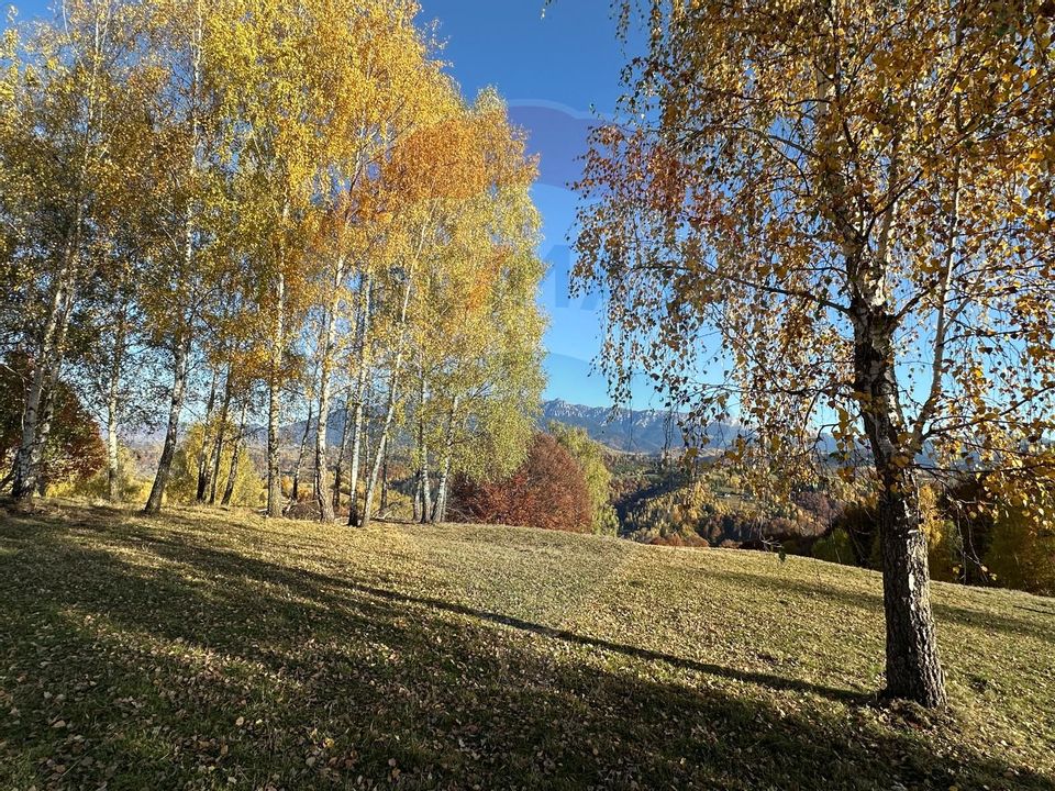 Investment opportunity ! Dream land in Pestera - 125,370 sqm