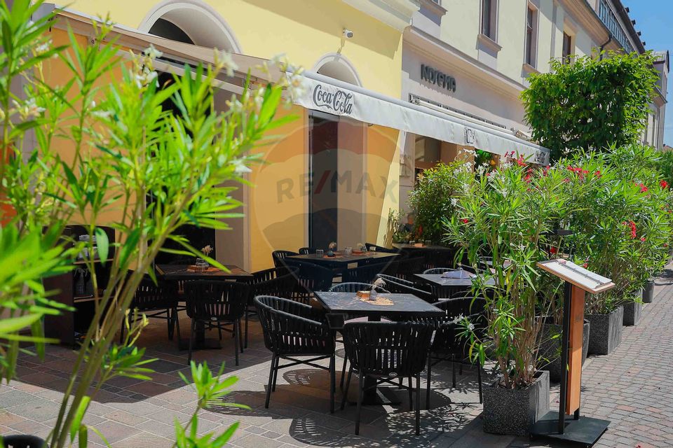 De vânzare — Spațiu comercial parter 409 mp, Vasile Alecsandri