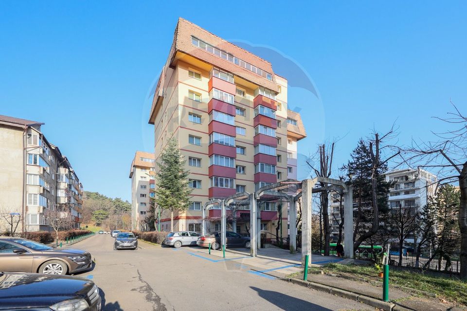 2 room Apartment for rent