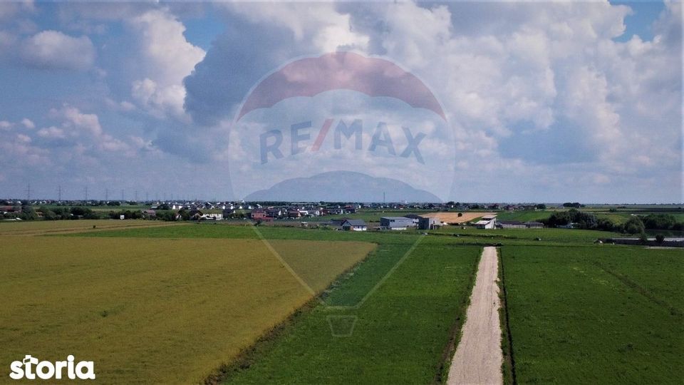 Teren 9,400 mp intravilan Nuci Ilfov