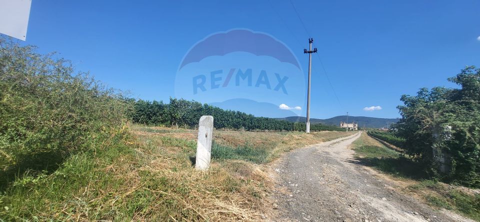 Land 50,500sqm Siria / DJ 709