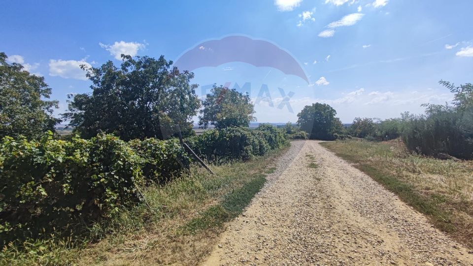 Land 12,818sqm Santimreu / Strada Principala