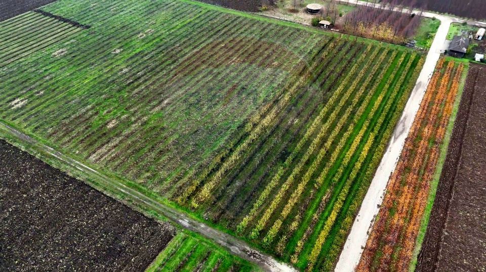 Ferma agro-industrială – 43 ha Adunații Copaceni