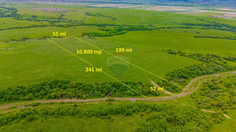 Land 10,800sqm Rasnov / Drumul DN73