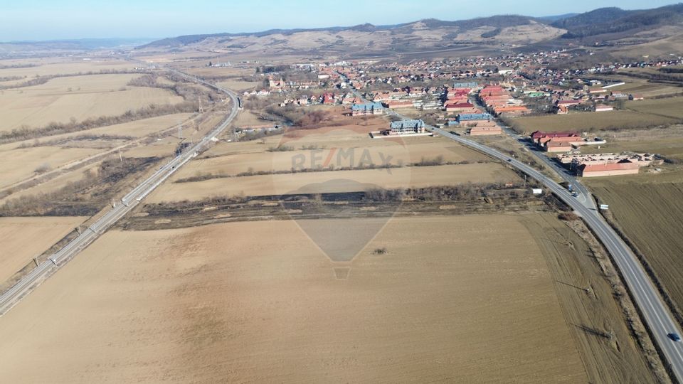 Land 10,168sqm Brateiu / Strada Principala