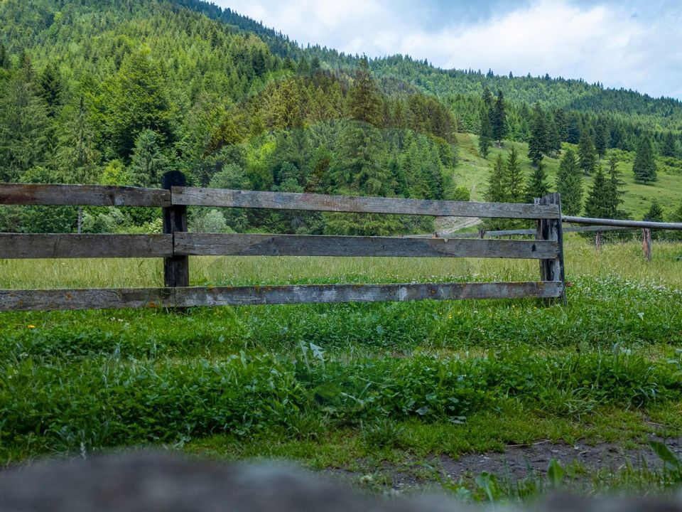 Fermă de vânzare, teren 21436 mp intravilan, Coșnea, Agăș