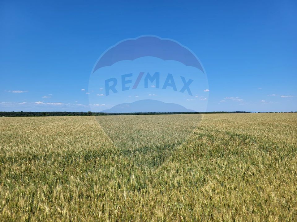 Teren intravilan 30,000mp Corbeanca P+1+E2