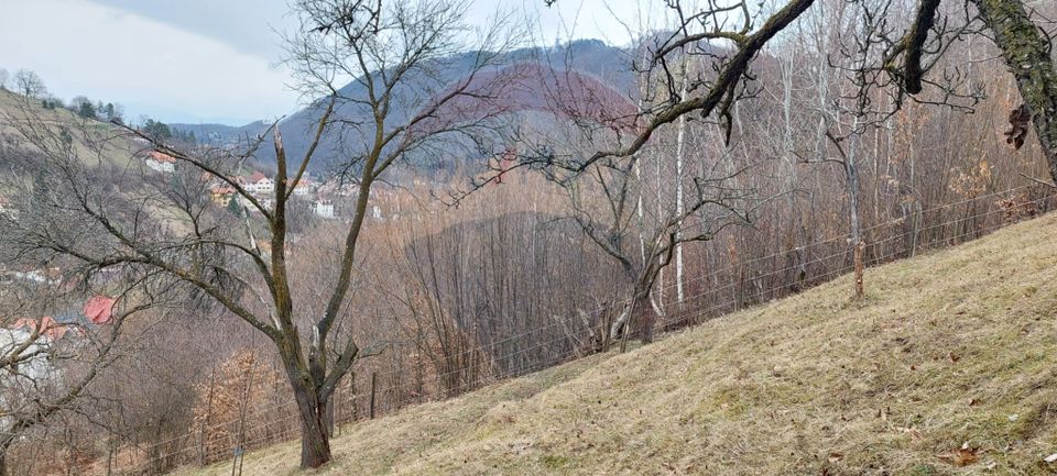 Teren de vânzare – Brașov, zona Dupa Iniste, 2710 mp
