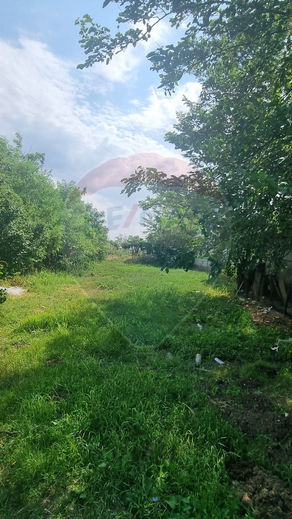 Land 1,300sqm Balotesti / Strada Tarina Veche