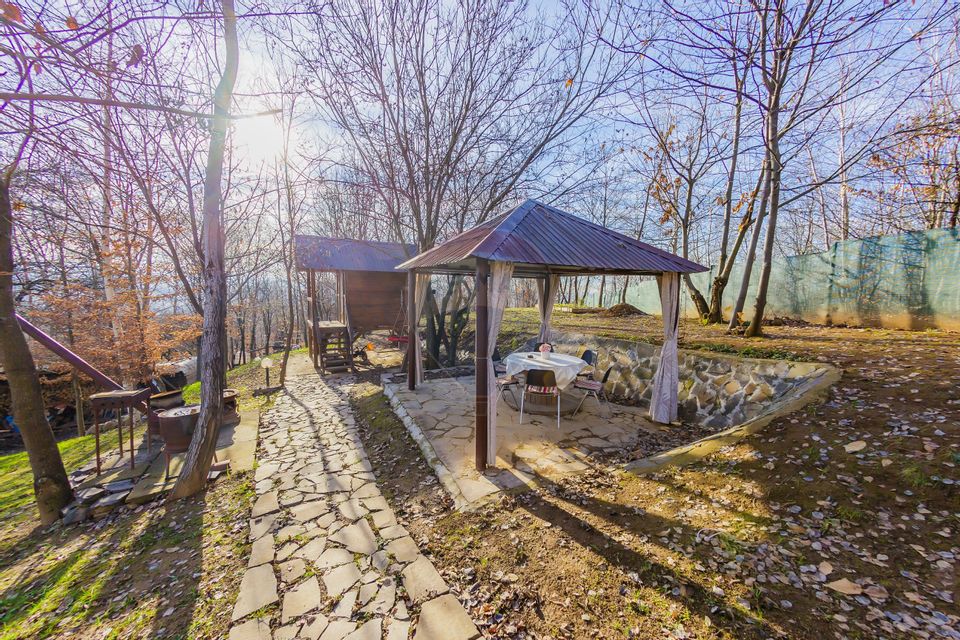 VILA DE VIS CU TEREN GENEROS, DE VANZARE