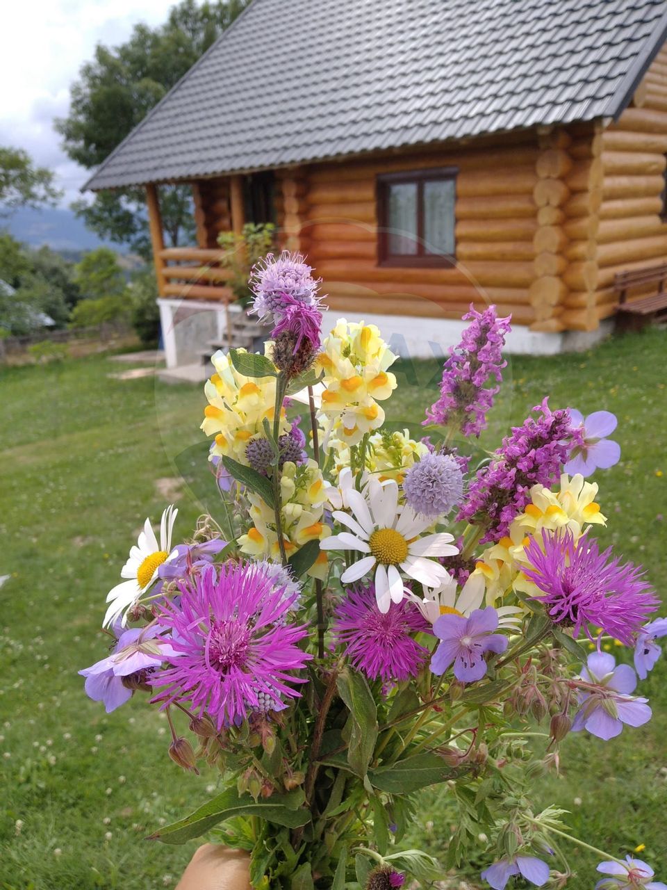 Vanzare 2 cabane de agroturism la 15km de Pestera Scarisoara