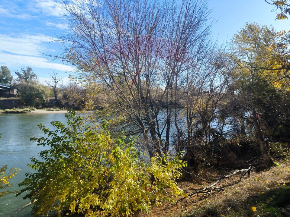 2 room Apartment for rent, Central area