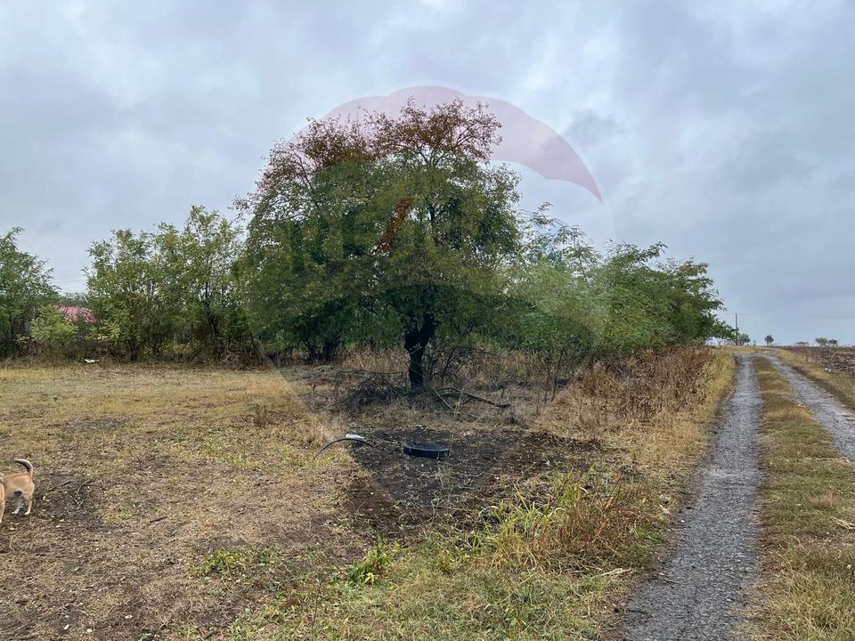 Land 1,700sqm Polcesti / Strada Crângului