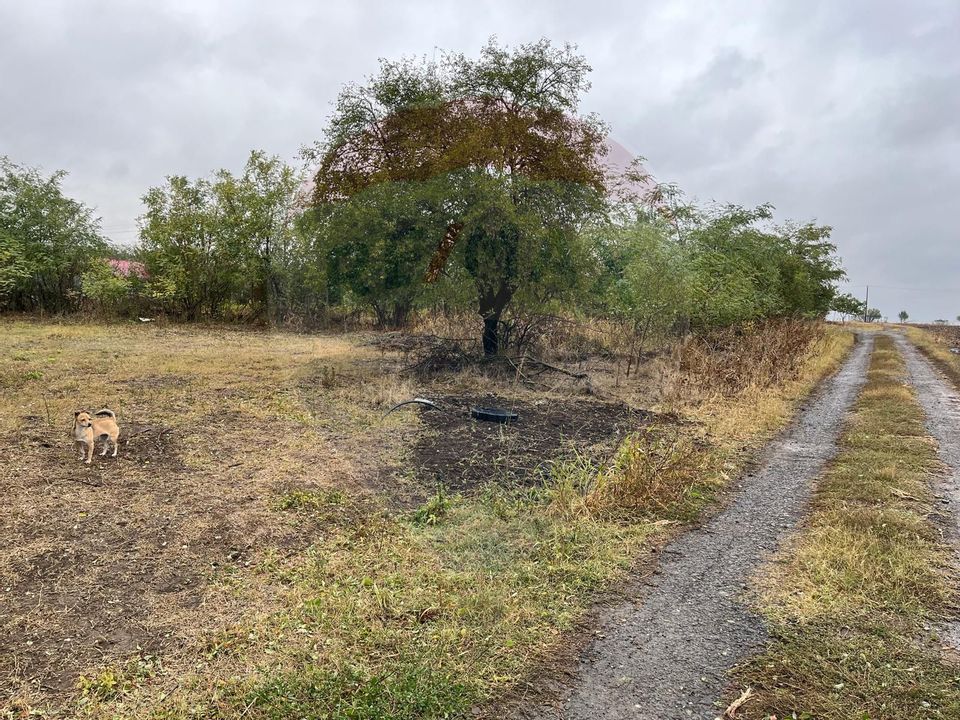 Land 1,700sqm Polcesti / Strada Crângului