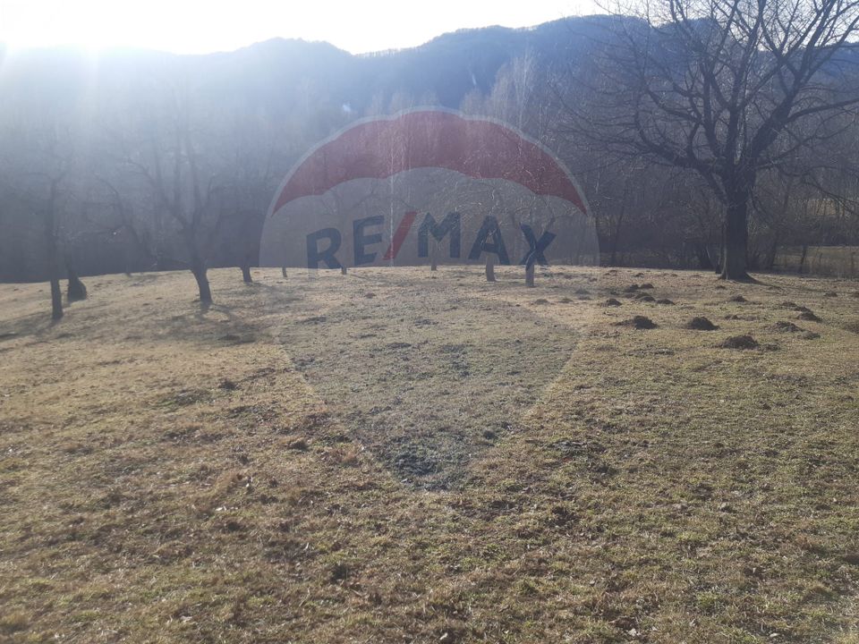 Land 10,279sqm Predelut / Strada Pe Tarina