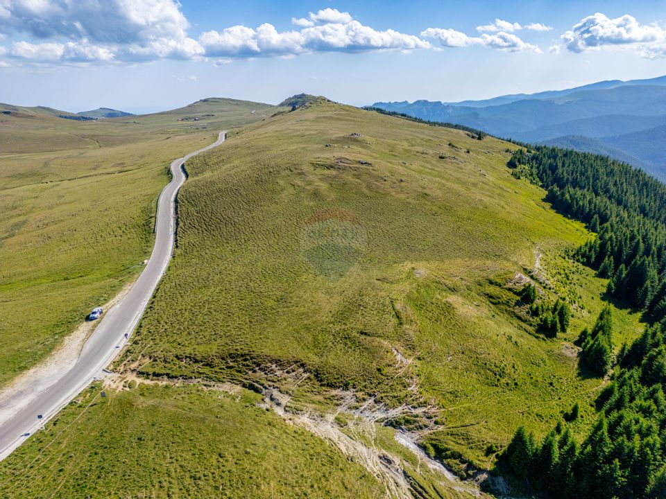 Teren intravilan Transbucegi / Oportunitate de dezvoltare Transbucegi