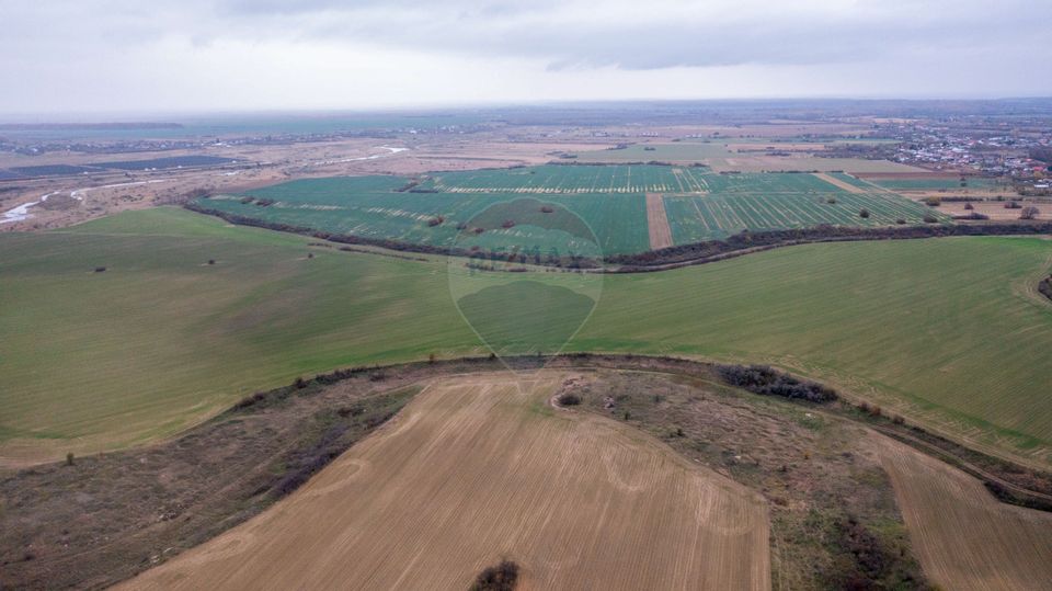 Land 310,000sqm Catunu (Berceni) / Intrarea tarla 17