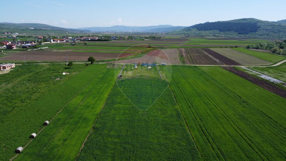 Land 8,700sqm Livada (Iclod) / Strada Apei