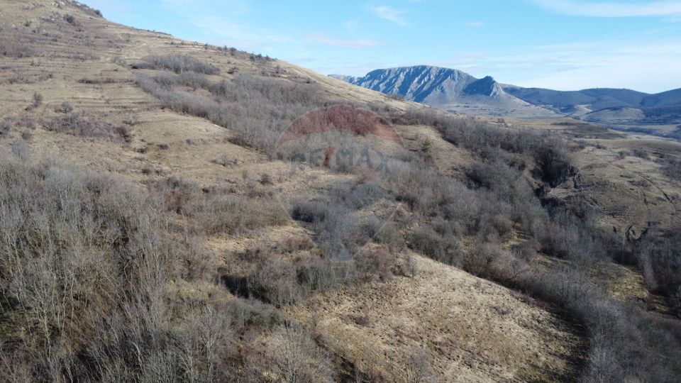 2 room House / Villa for sale