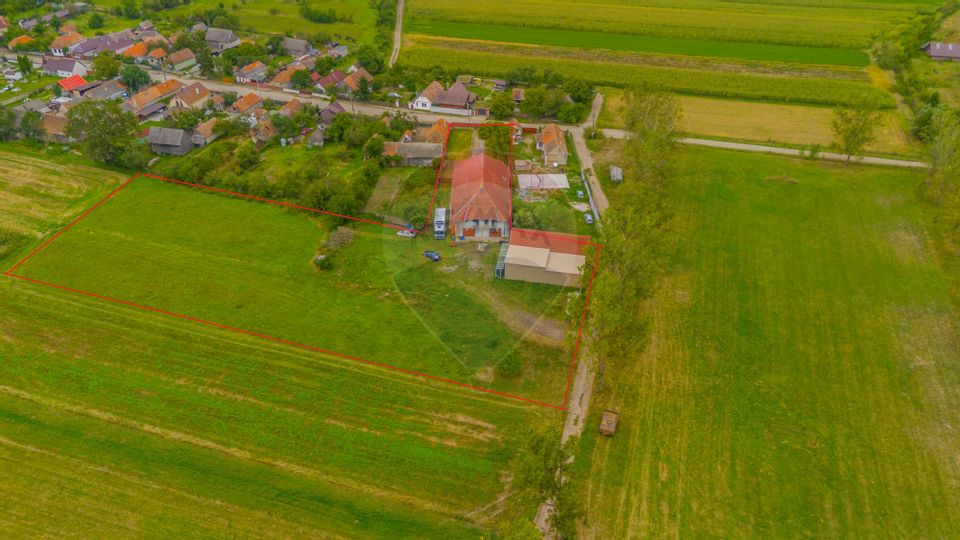 7 room House / Villa for sale