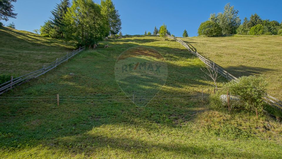 Casă / Vilă cu 6 camere, in inima naturii, comision zero pt cumparator