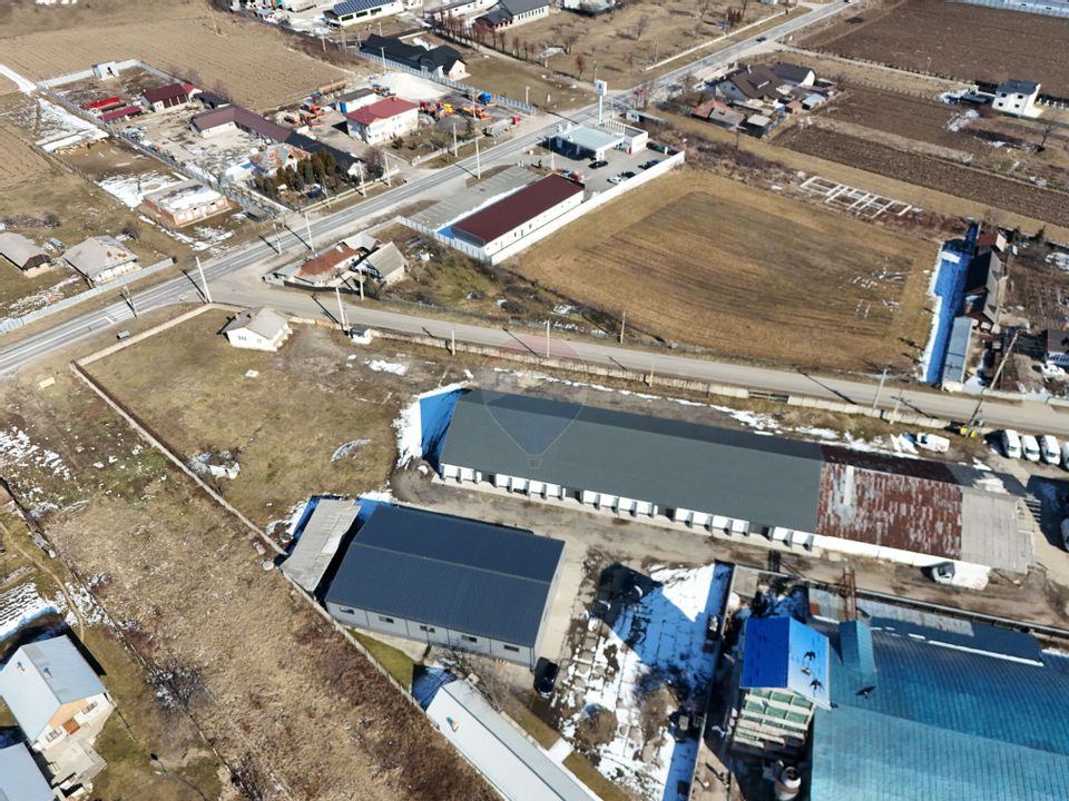Hale industriale de închiriat în Tg Neamț